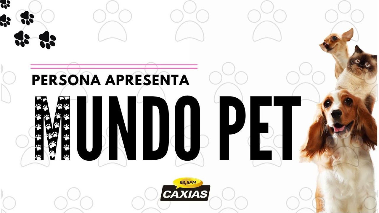 ADAPTABILIDADE E INTELIGÊNCIA ANIMAL | MUNDO PET | AO VIVO | 26/11/2024